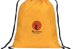 Ronin Athlete Bag