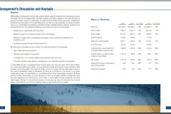 Annual Report Sample